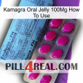 Kamagra Oral Jelly 100Mg How To Use 35